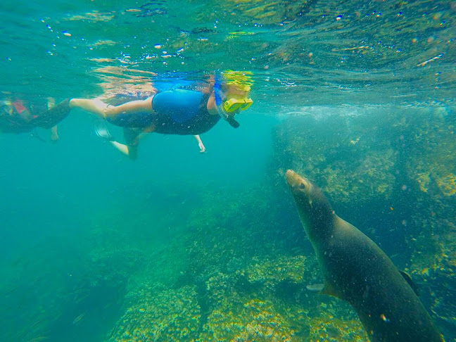 Opiniones de Viajeros en Galápagos C.A Travel Agency & Tours Operator en Puerto Ayora - Agencia de viajes