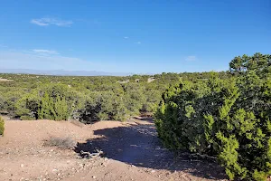 Dog park Ridge Top image