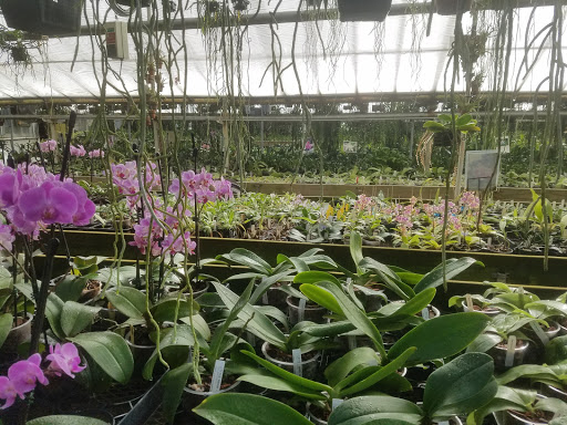 Florist «Little Brook Orchids», reviews and photos, 25 Rider Ave, Lancaster, PA 17603, USA