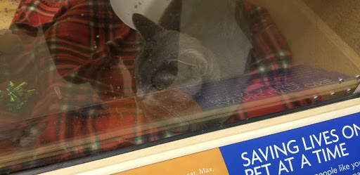 Pet Supply Store «PetSmart», reviews and photos, 2101 Elmwood Ave, Buffalo, NY 14207, USA