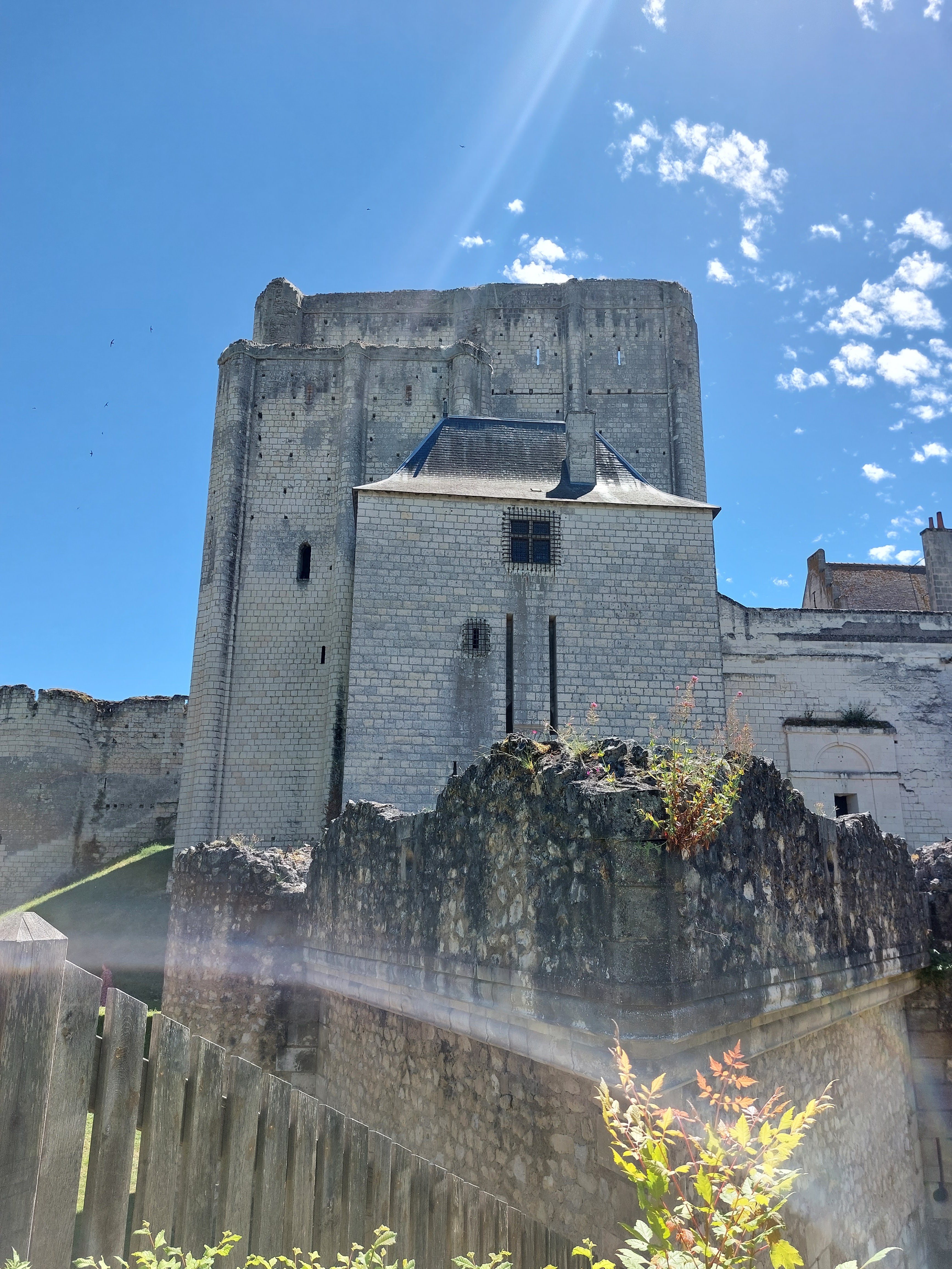 Photo n° 3 de l'avis de Alexandre.e fait le 24/07/2023 à 06:21