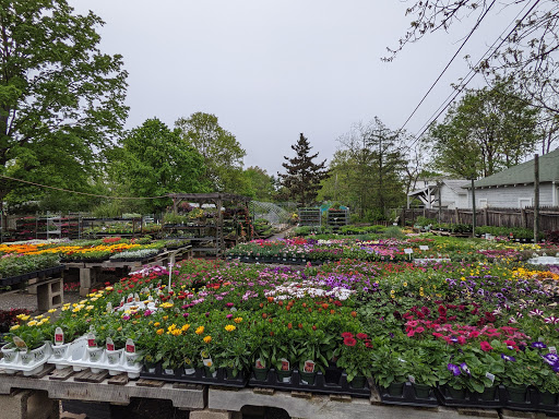 Florist «Butler Florist & Garden Center», reviews and photos, 416 Park Rd, West Hartford, CT 06119, USA