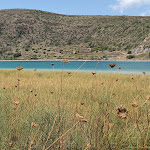 Photo n°6 de l'avis de Rossana.e fait le 06/10/2023 à 19:53 sur le  Trattoria da Pina à Pantelleria