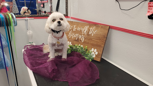 Poochie Do's Dog Grooming Salon