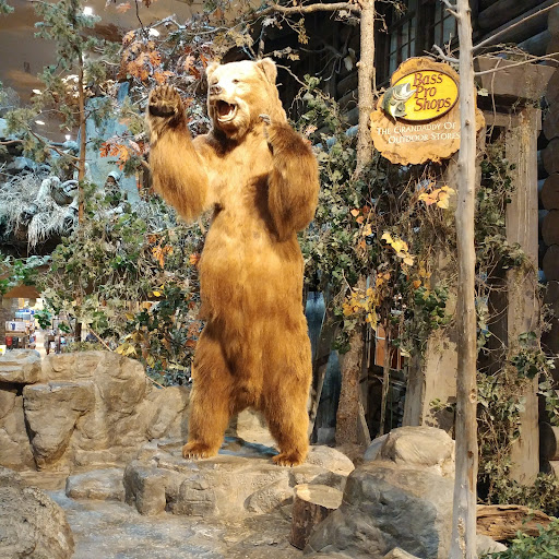 Sporting Goods Store «Bass Pro Shops», reviews and photos, 1935 S Campbell Ave, Springfield, MO 65807, USA