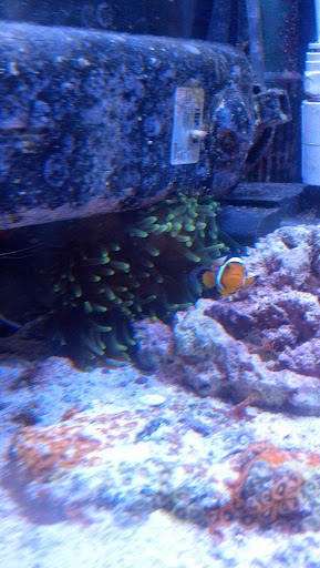 Grocery Store «ShopRite of Plainview - Woodbury Rd», reviews and photos, 444 Woodbury Rd, Plainview, NY 11803, USA