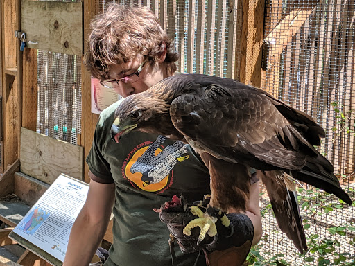 Nature Preserve «Cascades Raptor Center», reviews and photos, 32275 Fox Hollow Rd, Eugene, OR 97405, USA