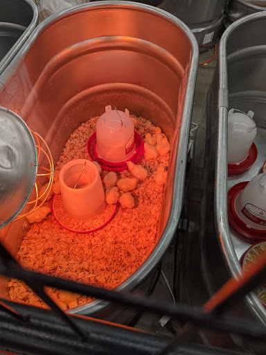 Home Improvement Store «Tractor Supply Co.», reviews and photos, 150 New London Rd, Colchester, CT 06415, USA