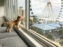 Beachmonkey's Creative Studio - Photo 6 - Car repair in Myrtle Beach, SC, Myrtle Beach