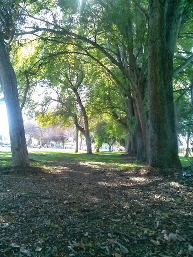 Golf Course «River View Golf Course», reviews and photos, 1800 W Santa Clara Ave, Santa Ana, CA 92706, USA