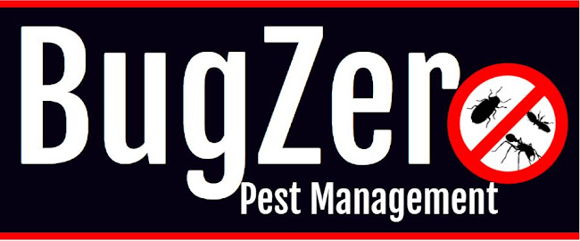 Reviews of BugZero Pest Management in Dargaville - Pest control service