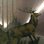 Photo n°1 de l'avis de Michel.c fait le 28/07/2020 à 20:38 sur le  Crotto di Biosio à Bellano