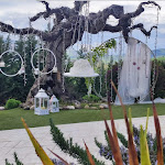 Photo n°3 de l'avis de Elena.i fait le 14/04/2023 à 06:00 sur le  LA ROCCA ALBERGO RISTORANTE SALA RICEVIMENTI PIZZERIA à Roccapalumba