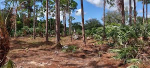 6 Acre Wood Park - photo 8