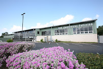 Continental Collision Austin - Photo 2 - Car repair in Austin, TX, Austin