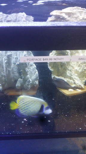 Pet Store «Alamo Aquatic Pets», reviews and photos, 6504 Bandera Rd, San Antonio, TX 78238, USA