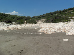 Photo de Leech Beach II zone sauvage