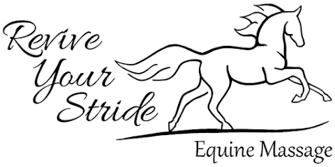 Revive Your Stride Equine Massage
