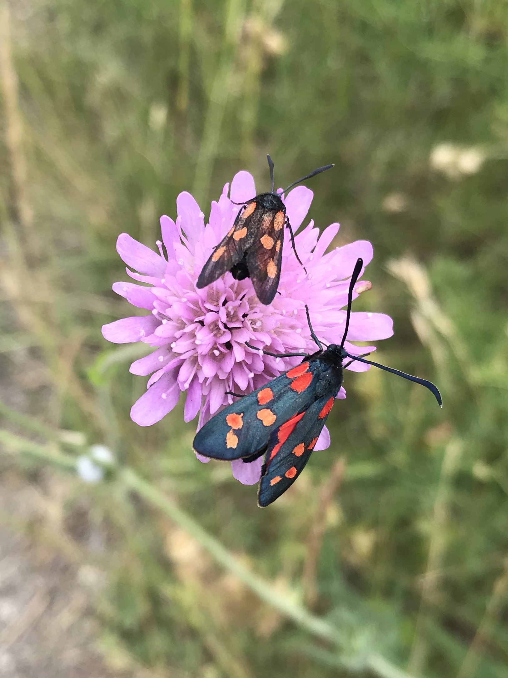 Photo n° 3 de l'avis de Bert.o fait le 21/07/2019 à 16:25
