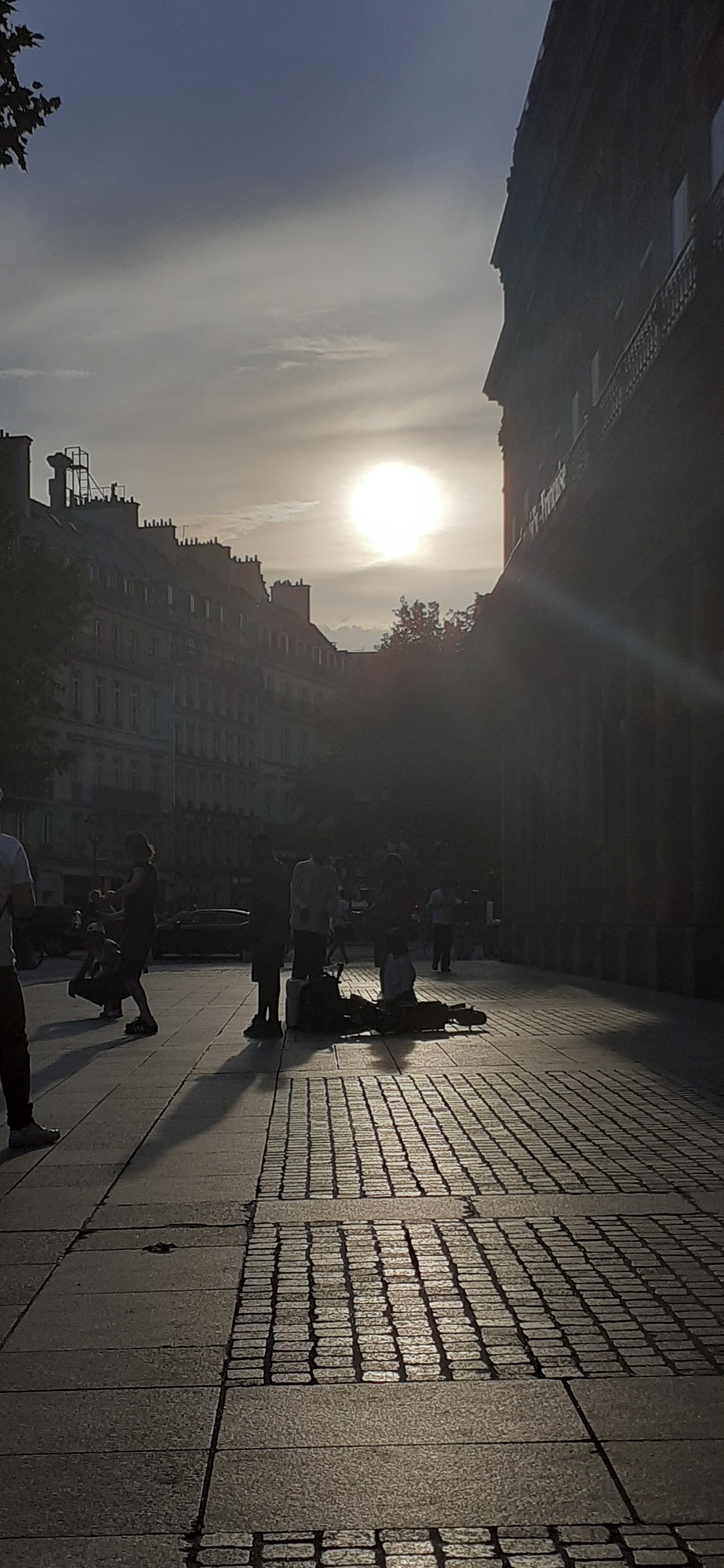 Photo n° 1 de l'avis de Sabine.e fait le 11/07/2023 à 19:26