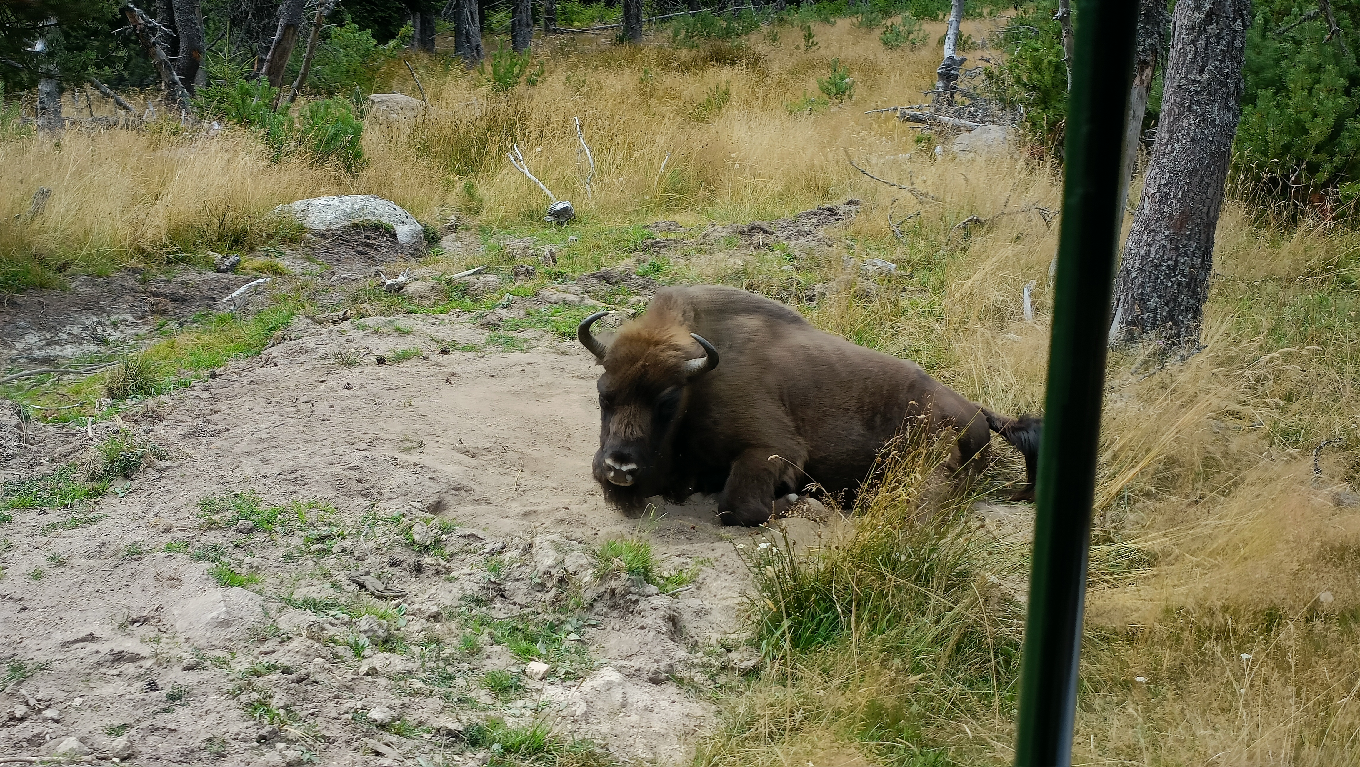 Photo n° 4 de l'avis de Florent.U fait le 10/08/2023 à 21:55