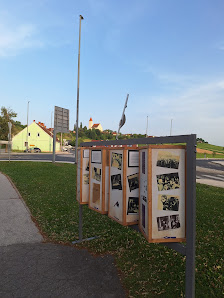 Športna dvorana Benedikt 2234 Benedikt, Slovenija