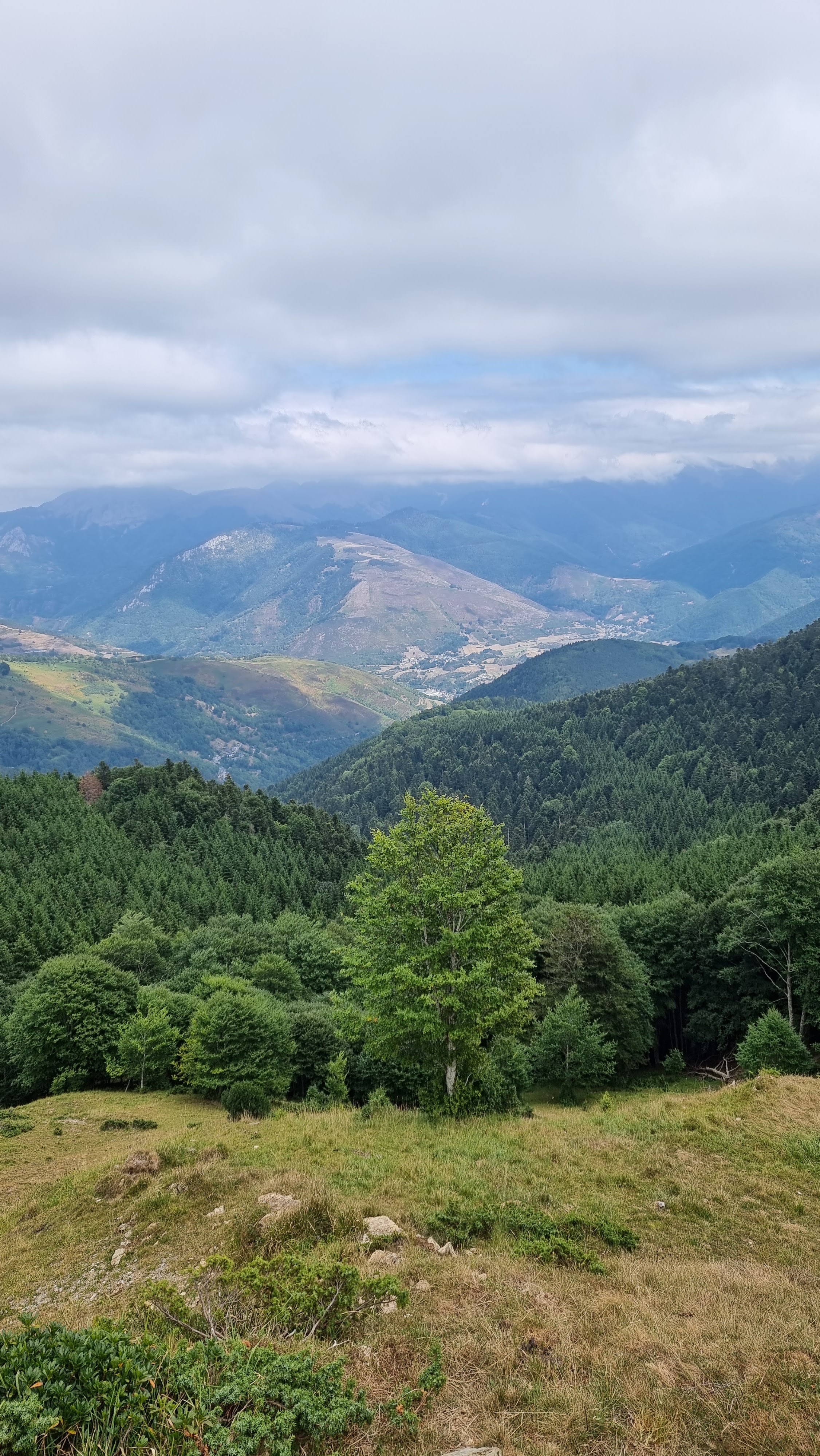Photo n° 1 de l'avis de Seb.u fait le 15/08/2022 à 20:28