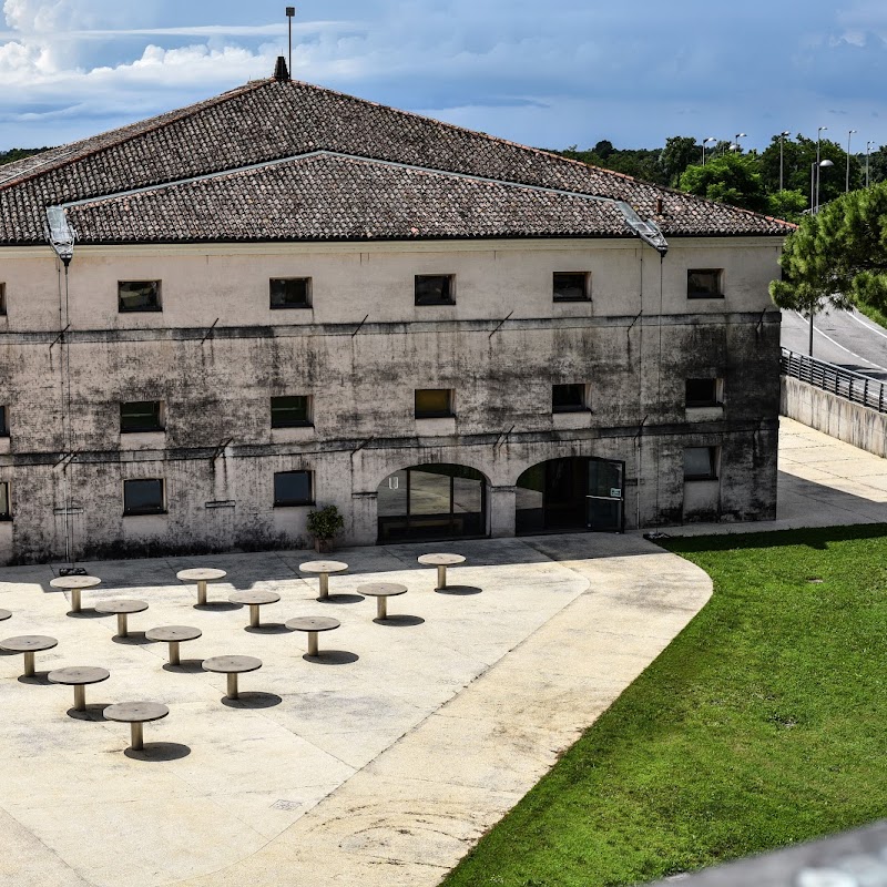 Museo nazionale e Area archeologica di Altino