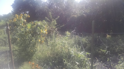 Golf Course «Mt. Lebanon Golf Course», reviews and photos, 1000 Pine Ave, Pittsburgh, PA 15234, USA