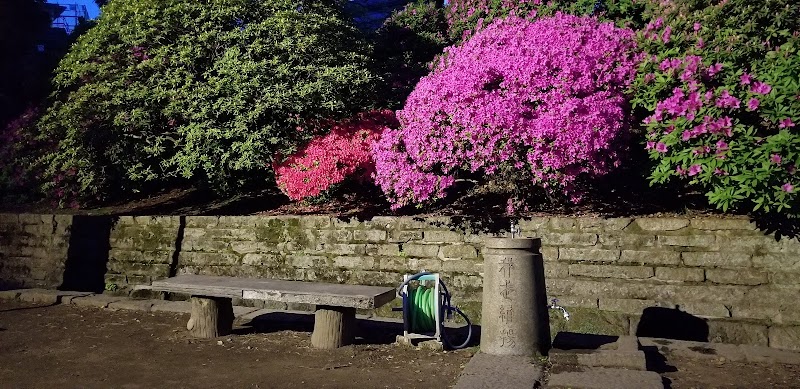 森鷗外碑銘水（根津神社）