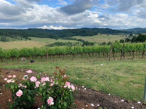 Winery «Sweet Cheeks Winery», reviews and photos, 27007 Briggs Hill Rd, Eugene, OR 97405, USA