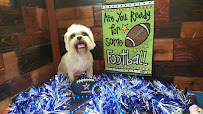 The Paw Tender Grooming Shop & Pet Sitter - Photo 1 - Car repair in Pflugerville, TX, Round Rock