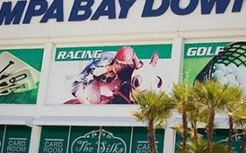 Tampa Bay Downs image