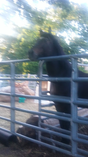 Farm «B & B Flower Farm», reviews and photos, 668 Jones Hill Rd, West Haven, CT 06516, USA