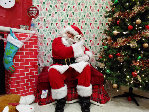 Pet Supply Store «PetSmart», reviews and photos, 11331 Causeway Blvd, Brandon, FL 33511, USA