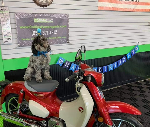 Motorcycle Dealer «Honda Suzuki Kawasaki», reviews and photos, 6507 Dixie Hwy, Florence, KY 41042, USA