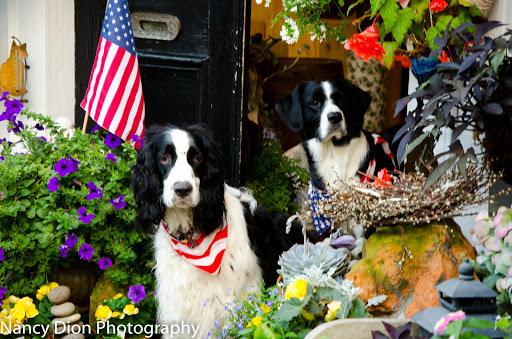 Florist «Flores Mantilla», reviews and photos, 164 Washington St, Marblehead, MA 01945, USA