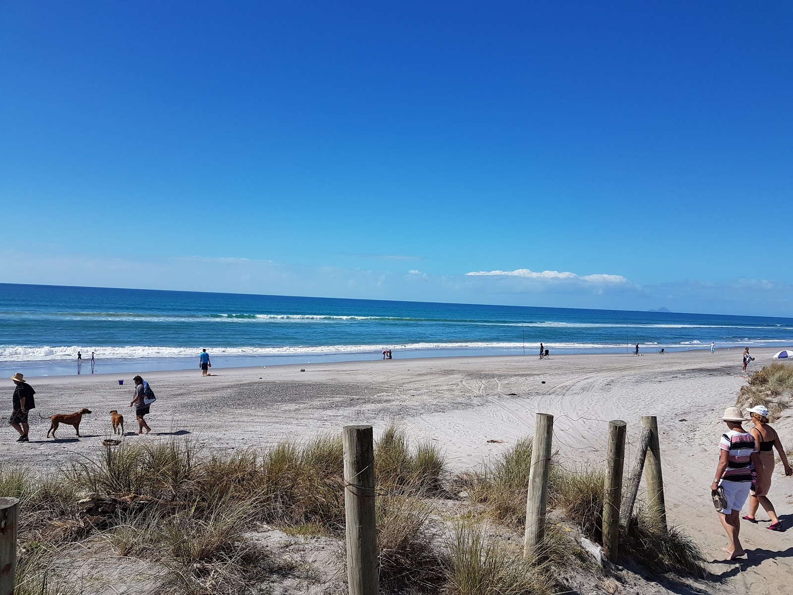 Poutuia Beach的照片 带有碧绿色纯水表面