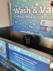 Wash&Vau® önkiszolgáló kutyamosó Dunakeszi