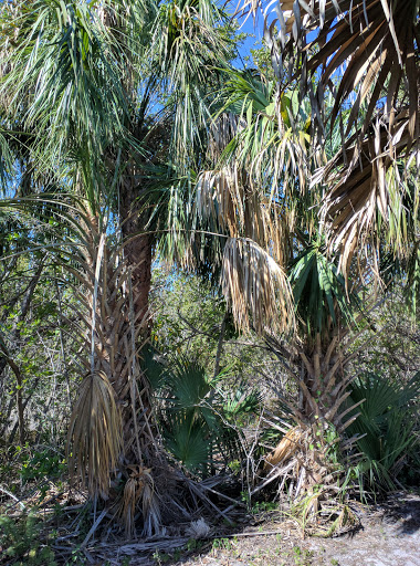 Non-Profit Organization «Sanibel-Captiva Conservation Foundation», reviews and photos, 3333 Sanibel Captiva Rd, Sanibel, FL 33957, USA