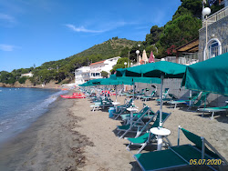 Spiaggia di Ogliastro Marina'in fotoğrafı kısmen otel alanı