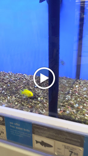 Pet Supply Store «Petco Animal Supplies», reviews and photos, 300 Hylan Dr, Rochester, NY 14623, USA