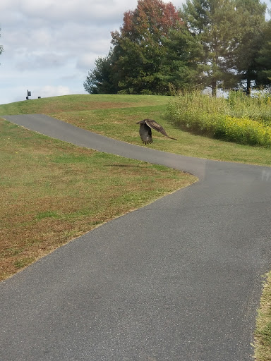 Public Golf Course «Birdwood Golf Course», reviews and photos, 410 Golf Course Dr, Charlottesville, VA 22903, USA