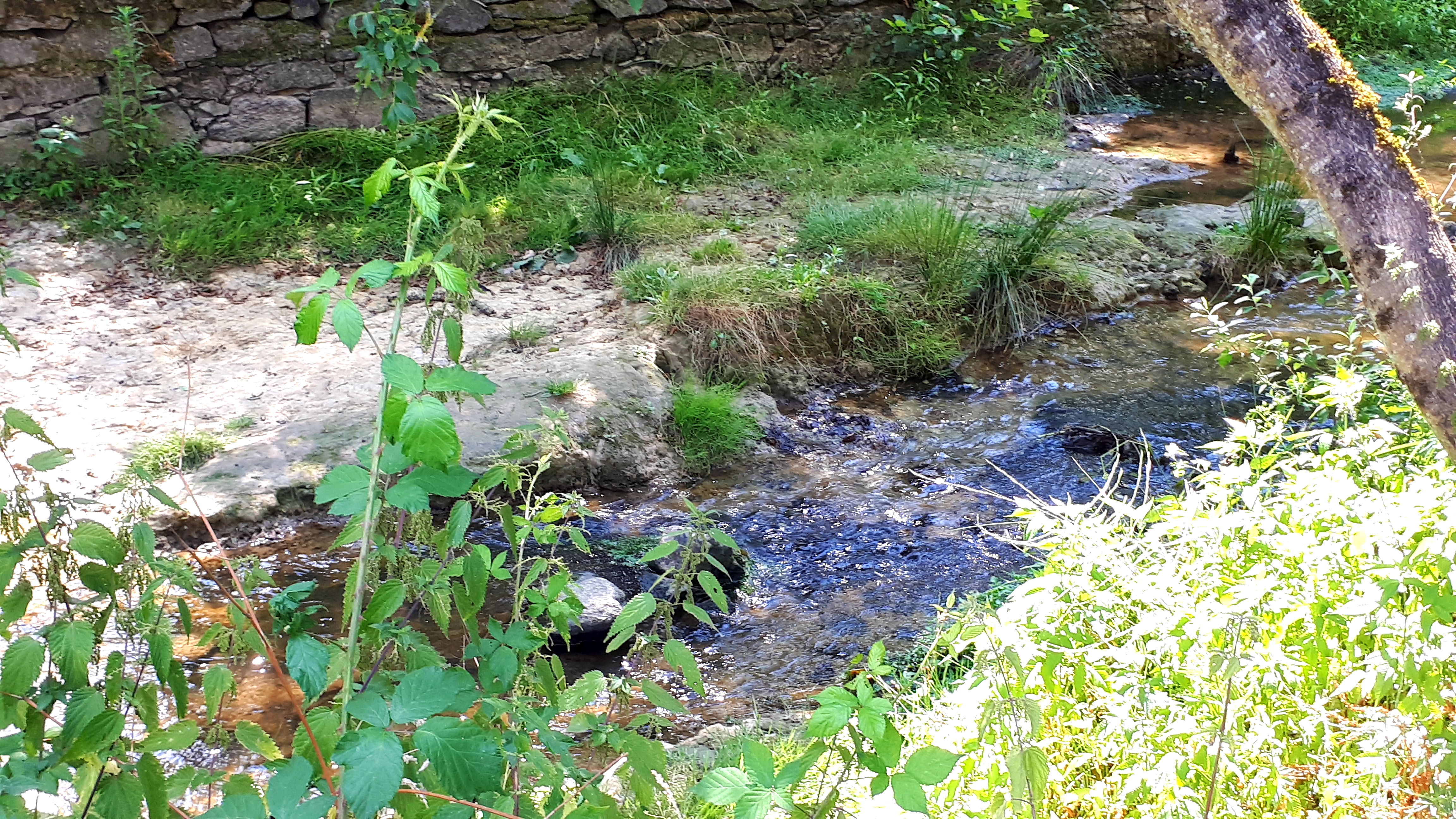 Photo n° 3 de l'avis de Sylvie.o fait le 14/07/2019 à 16:05