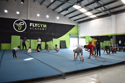 Fly Academy Gym - Heriberto Allera 48, Casa Blanca, 76030 Santiago de Querétaro, Qro., Mexico