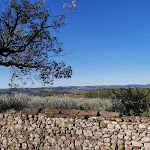 Photo n°39 de l'avis de Beniamin.r fait le 20/10/2020 à 17:45 sur le  Certosa di Pontignano à Pontignano