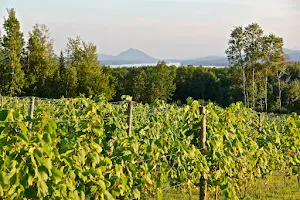 Au Vignoble d'Orford image