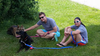 You've Got A Friend In Us Pet Sitting - Photo 2 - Car repair in Hilliard, OH, Columbus