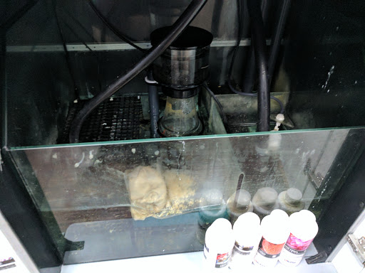 Tropical Fish Store «Pure Reef», reviews and photos, 12900 GA-9, Alpharetta, GA 30004, USA