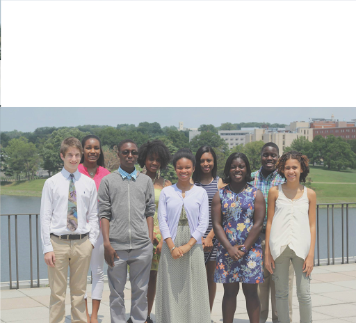 Catalyst Network Foundation Inc. (CNF)